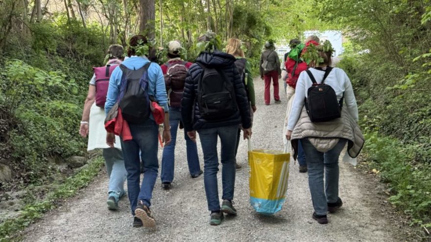 250430 Walpurgisnacht RN05 - 11 Frauen des Frauenbundes machten sich mit Petra alias Pimpernella Pumpelsack auf den Weg zu einem ganz besonderen Abend. Rund um die Ilkahöhe sind ganz besondere Schwingungen und diesen gingen wir auf den Grund. Wir spürten die Kraft der Bäume, sammelten Naturgegenstände und meditierten darüber, genossen eine Naturbrotzeit im dunklen Dickicht und auf dem Gipfel der Ilkahöhe tanzten wir ums Feuer, sangen und schauten die leuchtenden Sterne an. Jede Frau ist einzigartig und alle hatten ihren Platz. So bedankte sich hinterher jede bei jeder und hatte ein ganz feierliches Gefühl im Bauch. Ein rundum gelungener, ganz besonderer Abend, den wir alle so schnell nicht vergessen werden. Danke unserer Oberhexe!