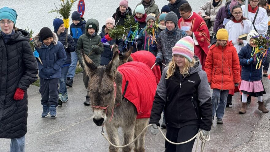 2026 03 29 Palmsonntag10 - Die Karwoche wurde in der Pfarrei auch in diesem Jahr als besonders dichte und bewegende Zeit erlebt. Den Auftakt bildete der Palmsonntag, an dem Pfarrer Peter Seidel die unspektakuläre Ankunft Jesu in Jerusalem in den Mittelpunkt stellte: auf einem Esel, leise, nahbar und ohne Prunk. Die anfängliche Begeisterung der Menschen verflog schnell – ein Bild dafür, wie auch unser eigener Glaube manchmal schwankt. Dennoch, so die Botschaft, kommt Jesus zu uns, begleitet uns und bleibt an unserer Seite – auch in Unsicherheit und Zweifel.