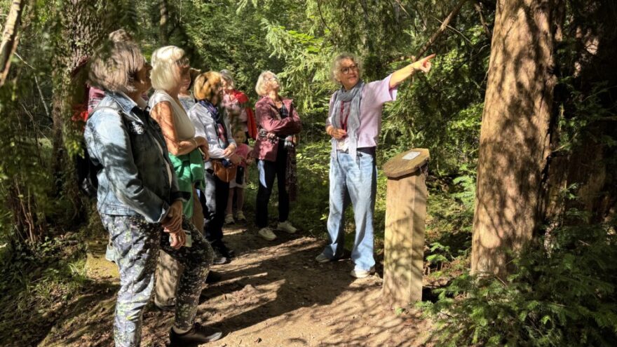 Die Eibe - ein Baum der Ewigkeit 4 2026 09 19 KDFB Eibenwald RN01 - Der Frauenbund Tutzing unternahm am Samstag, 19. September 2026 einen Ausflug in den Eibenwald bei Paterzell. Von Christine Stedele, die uns durch diesen besonderen Wald führte, erfuhren wir viel Wissenswertes über diese interessanten Bäume.